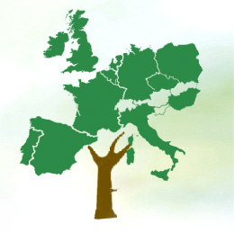 2004